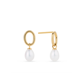 Freshwater Pearl Drop Earrings in 9ct Yellow Gold