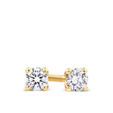 0.25ct TW Diamond Earrings in 18ct Yellow Gold