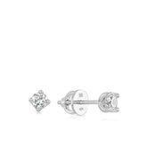 0.25ct TW Diamond Earrings in 18ct White Gold