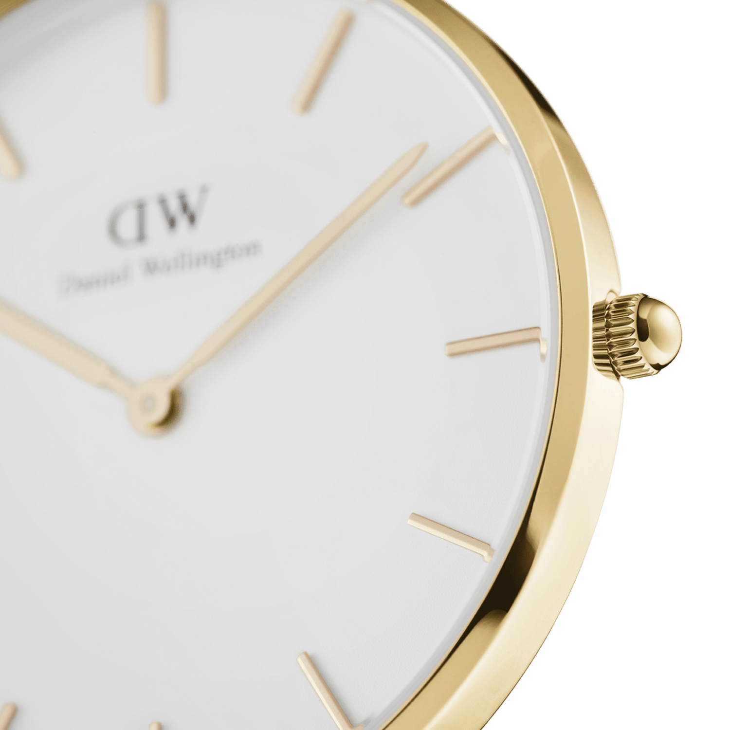 Daniel Wellington Petite Women's 36mm Quartz Watch DW00100346