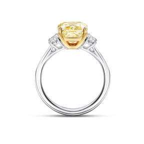 3.40ct TW Lab Grown Diamond Ring in 18ct Yellow and White Gold