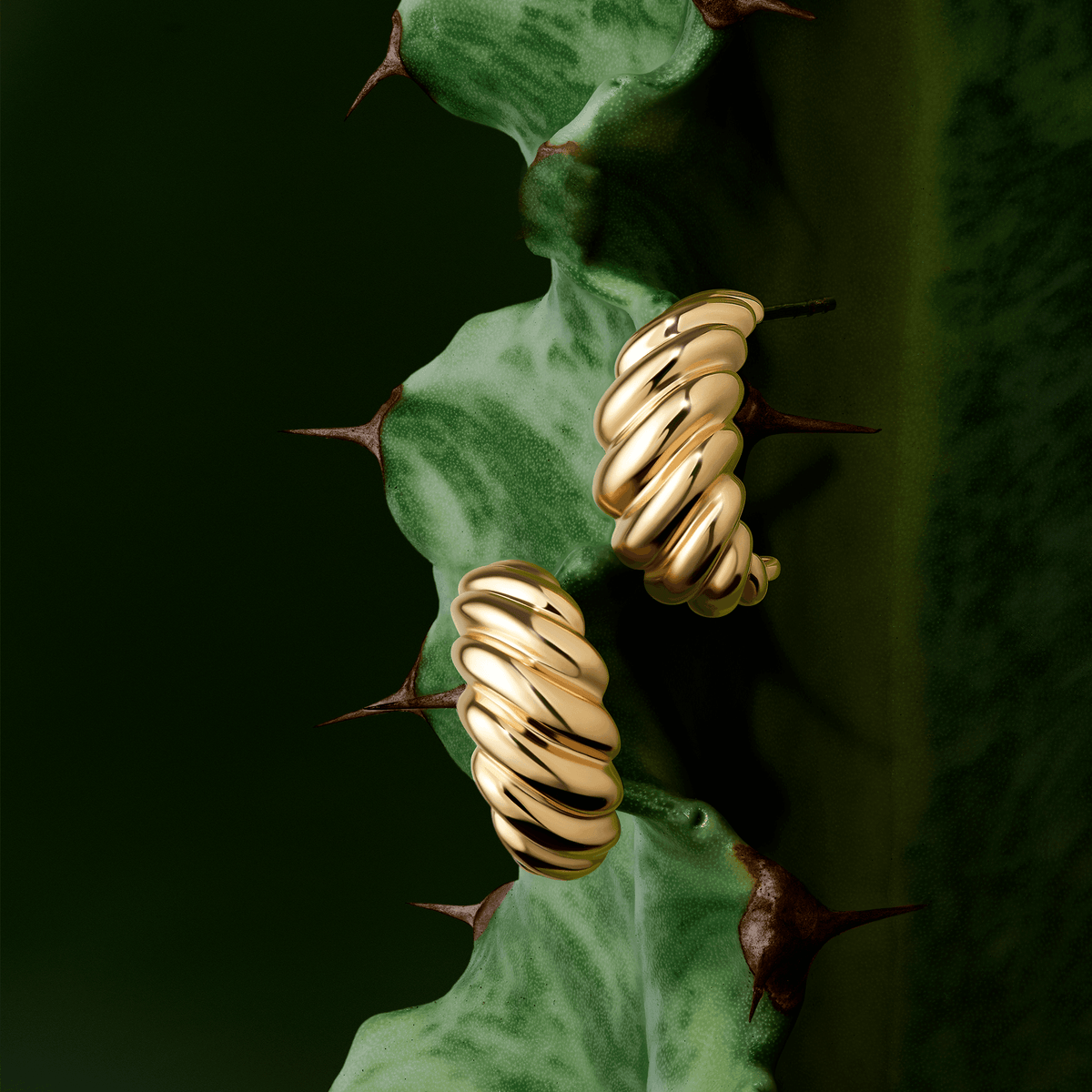 Croissant Stud Earrings in 9ct Yellow Gold - Wallace Bishop