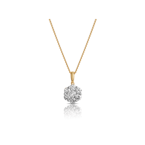 Round Brilliant Cut Diamond Pendant in 9ct Yellow Gold - Wallace Bishop