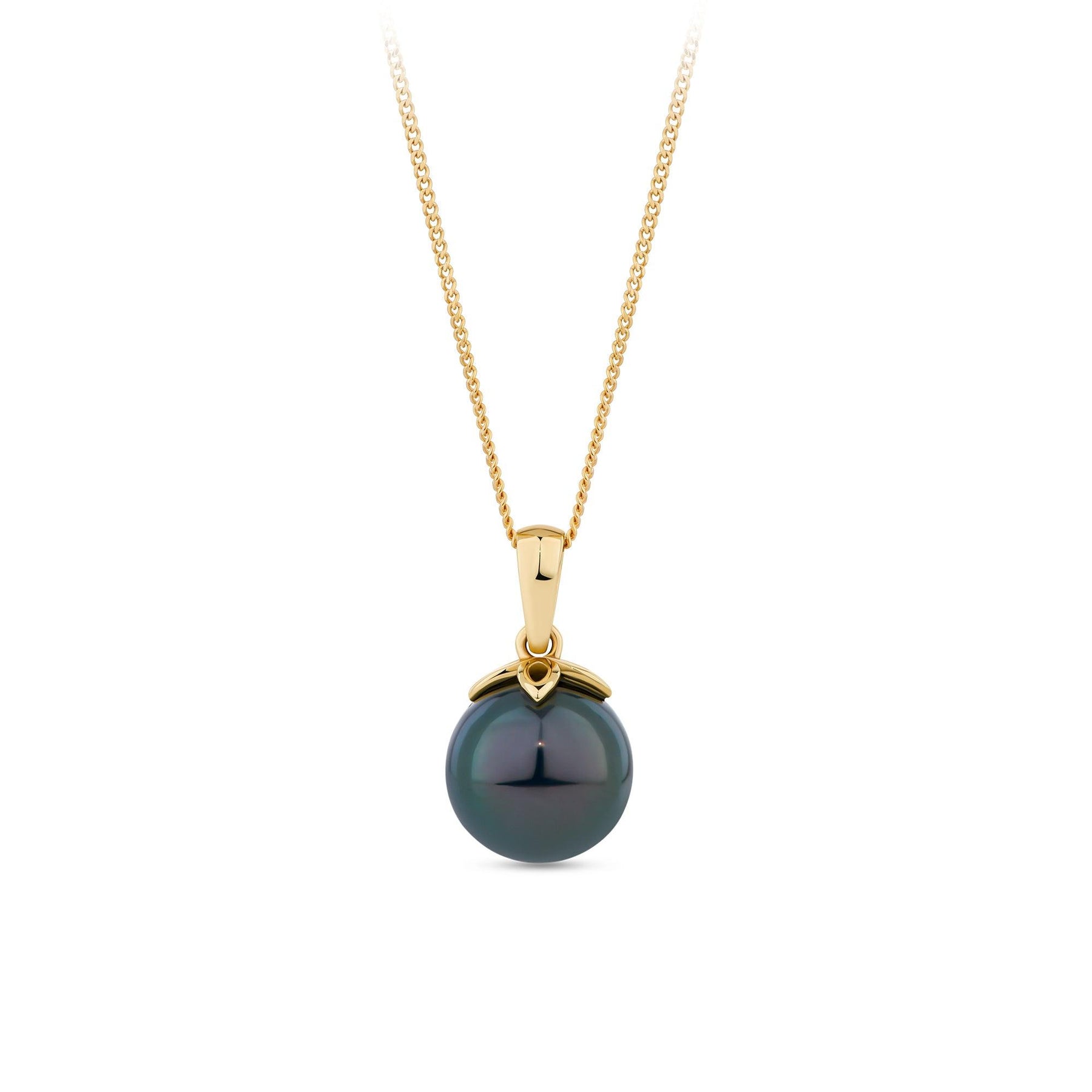 Tahitian Pearl Pendant in 9ct Yellow Gold - Wallace Bishop