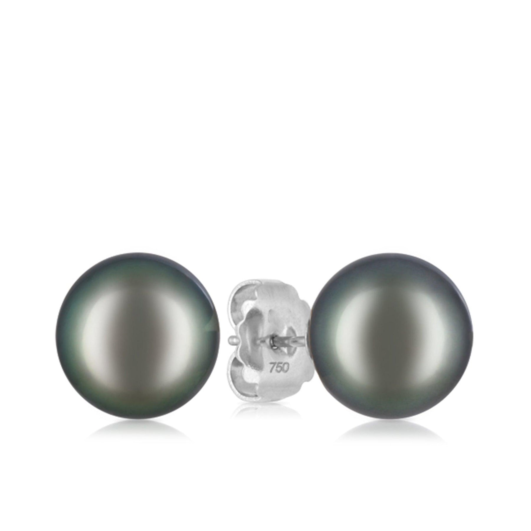 Tahitian Pearl Stud Earrings in 18ct White Gold - Wallace Bishop